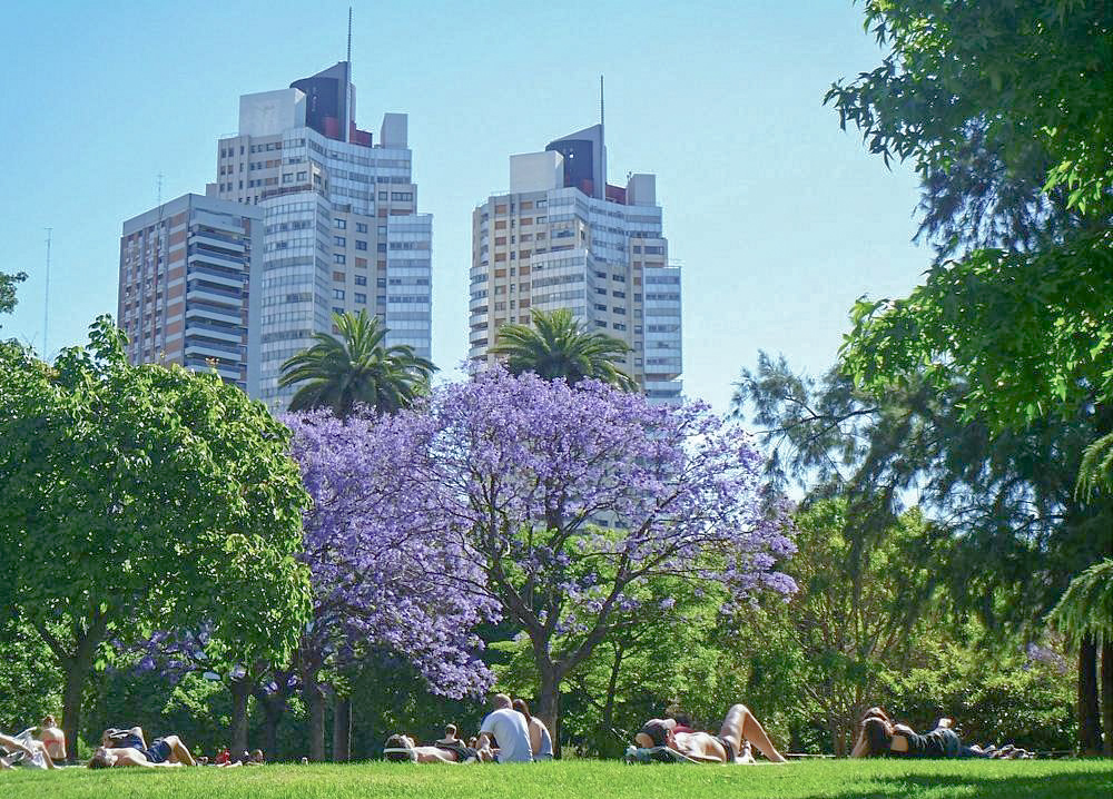 Ubicación